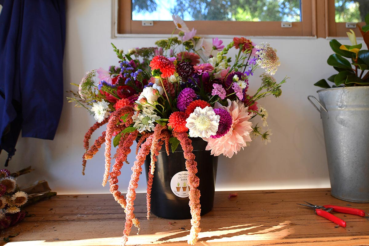 My Little Potting Shed - Buckets of Blooms